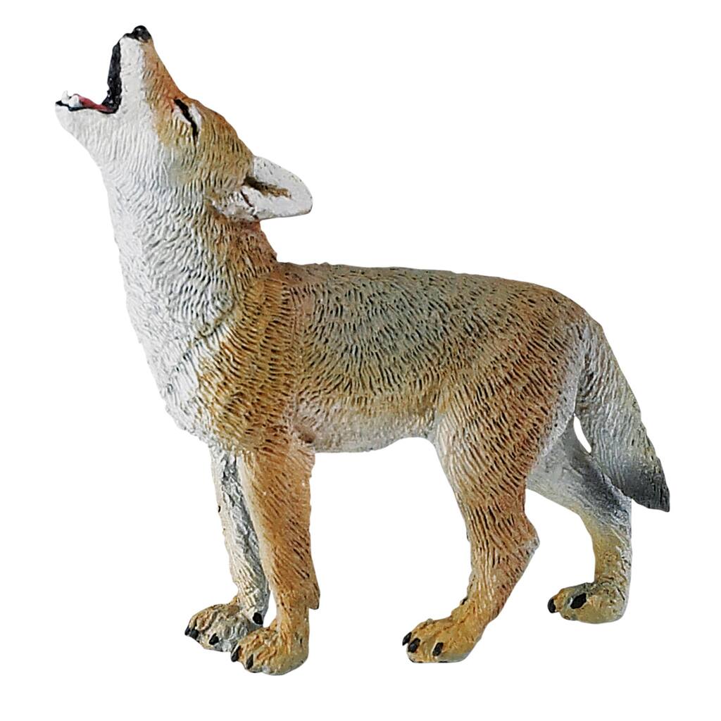 10175581.jpg img
